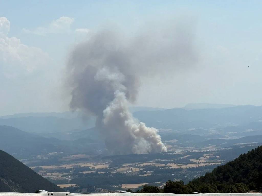 Bolu ve Çanakkale’de orman yangını