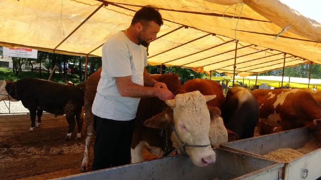 Şap hastalığı alarmı: Türkiye genelinde hayvan pazarları kapatıldı