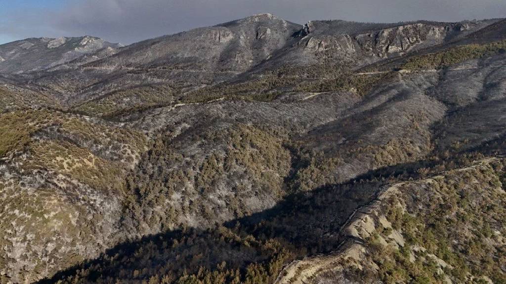 Sakarya’da yangın felaketi: Dumanlar dağıldı, hasar ortaya çıktı