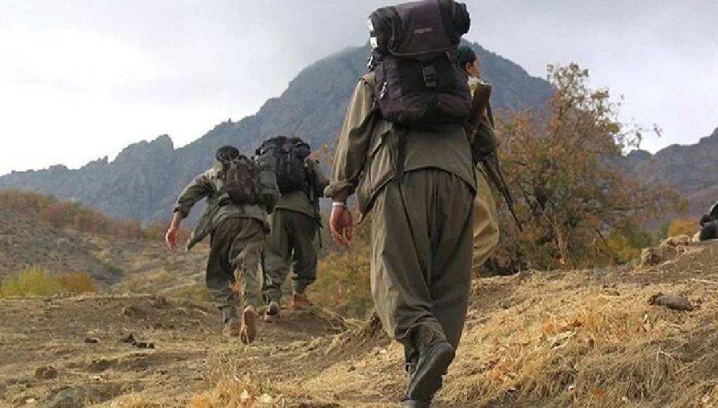 DEM Parti: PKK haftaya silah bırakacak
