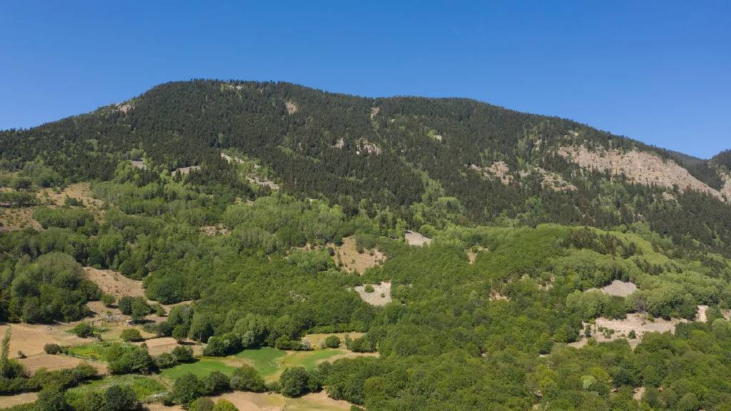 Sivas, Yalova ve Yozgat’ta ormanlara giriş yasağı