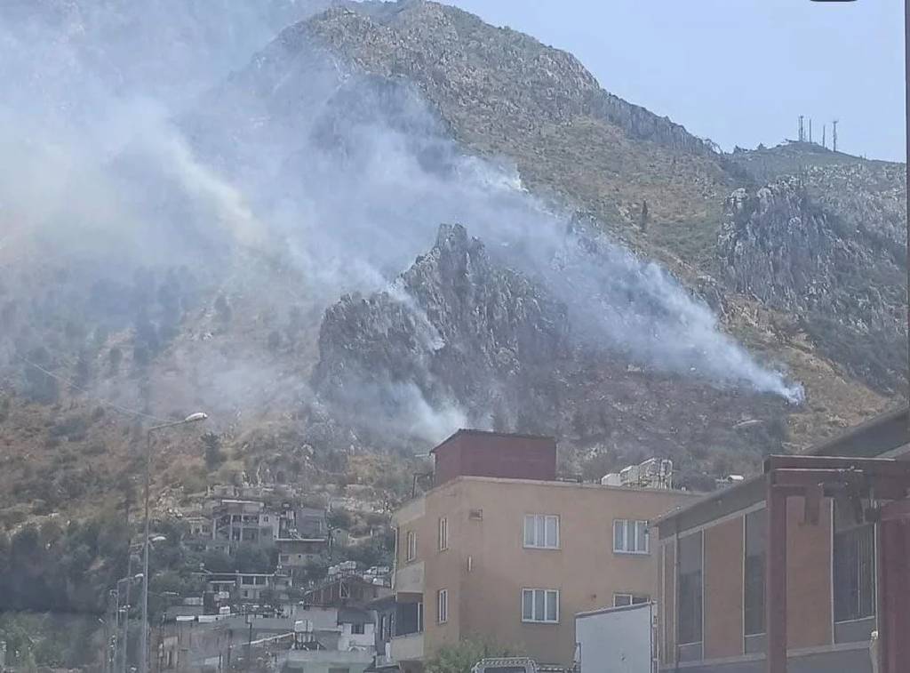 Hatay'da orman yangını