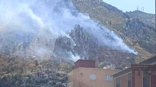 Hatay'da orman yangını
