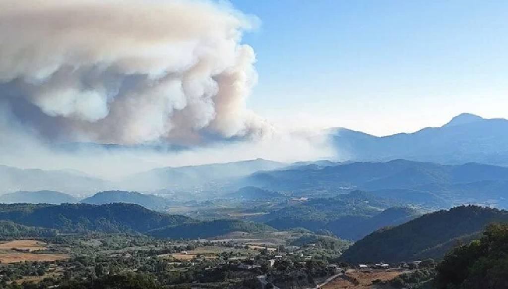 Suriye'deki orman yangını Hatay'a sıçradı!