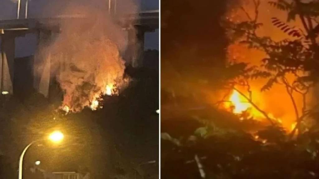 Beykoz’da orman yangını skandalı: İşaret fişeği atan genç tutuklandı