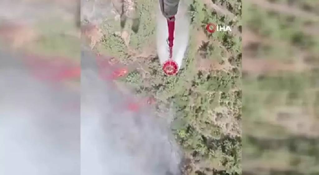 Orman Genel Müdürlüğü'nden İzmir açıklaması!