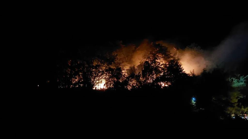 Sakarya’da orman yangını: 1 kişi tutuklandı!