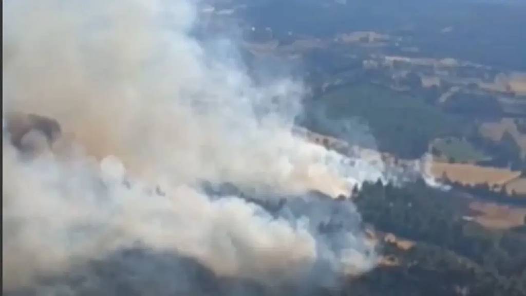 Balıkesir'de arazide çıkan yangın ormana sıçradı