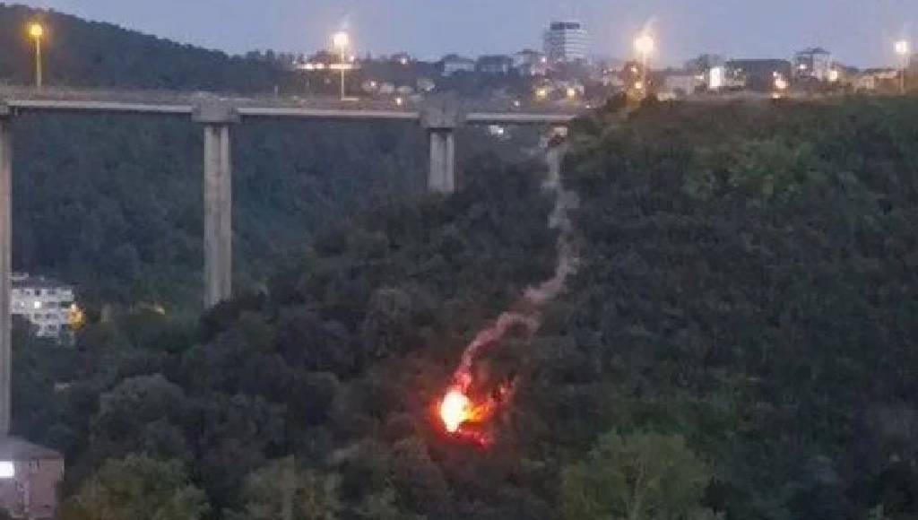 Beykoz'da orman yangını…