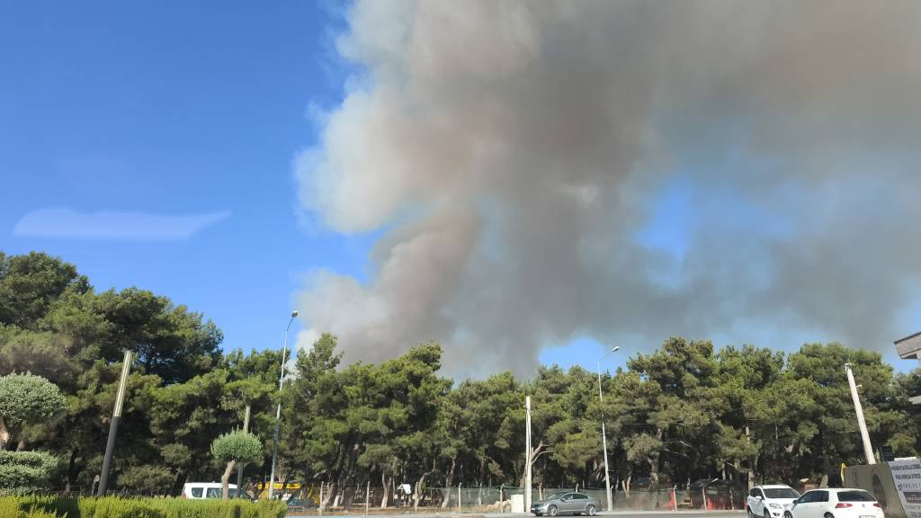 İzmir alev alev! Buca'da orman yangını çıktı…