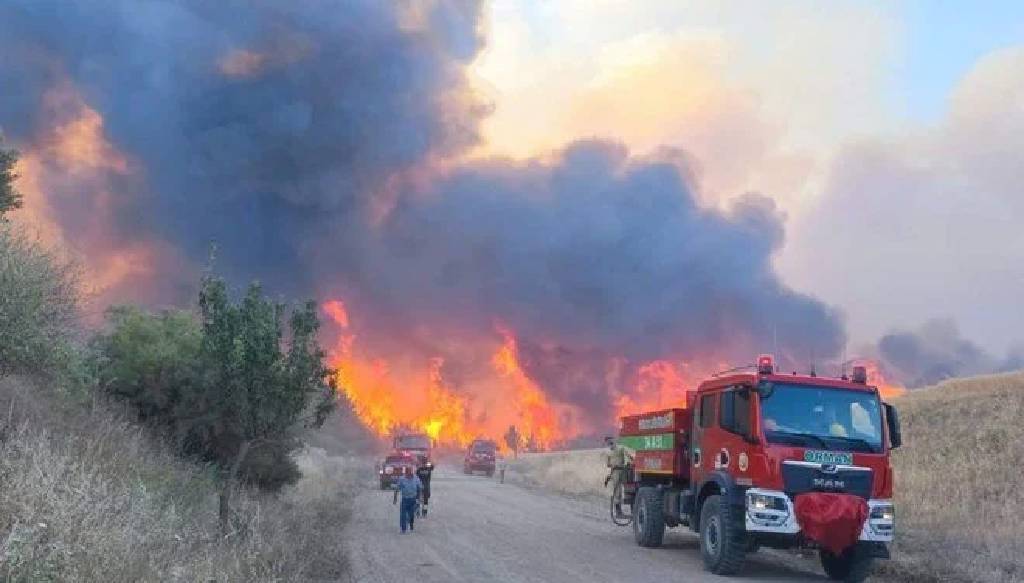 İki bölgede orman yangını: Bazı mahalleler tahliye edildi