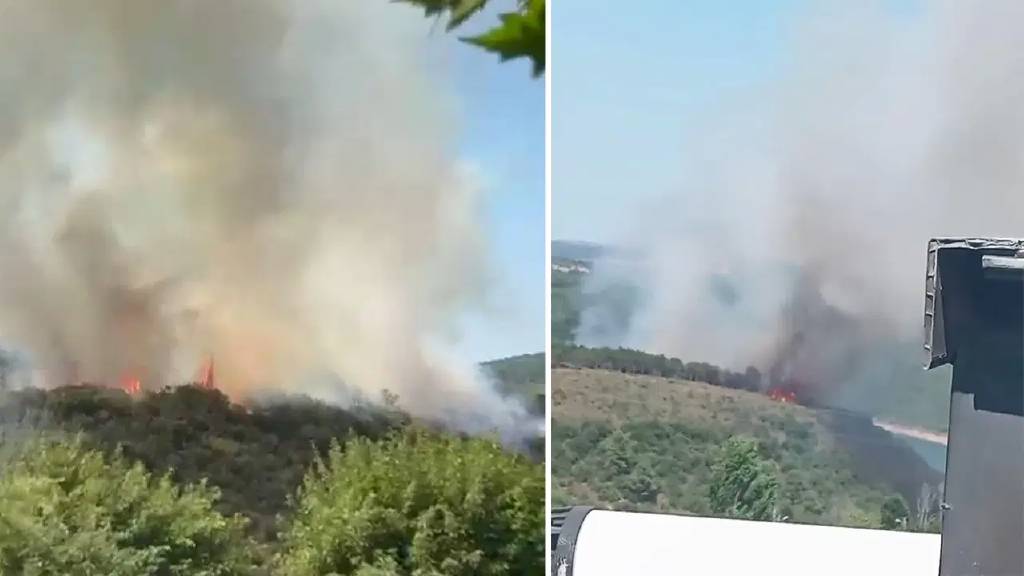 İstanbul'da orman yangını başladı