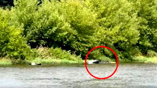 Almanya’da askeri helikopter düştü: 2 ölü, 1 kayıp