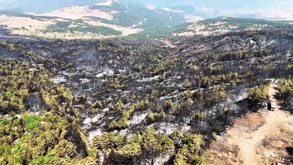 Karabük’te orman yangınının ardından geriye siyah alanlar kaldı