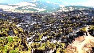 Karabük’te orman yangınının ardından geriye siyah alanlar kaldı