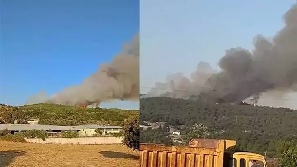 İzmir’de orman yangını: Havadan ve karadan müdahale başladı