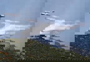 user header