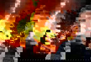 user header