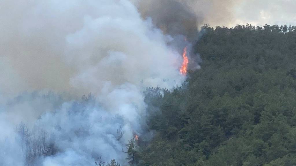 Sinop'ta orman yangını sürüyor, bir köy tahliye edildi