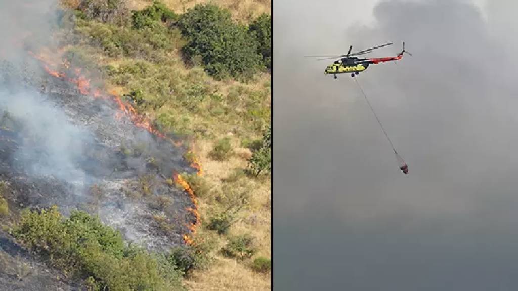Tekirdağ'da makilik alanda yangın çıktı