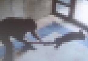 user header