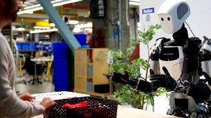 Google sayesinde robotlar artık internette gezebilecek