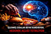 "İşlenmiş gıdalar beyni kandırıyor"