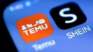 Temu'nun Türkiye ofisine denetim