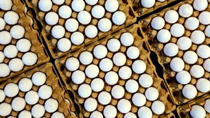 Türkiye'nin yumurta ihracatı 9 ayda yüzde 54 arttı