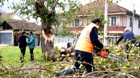 Düzce'de fırtınada devrilen ağaçlar kaldırılıyor