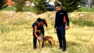 Van'da arama kurtarma köpekleri afetlere hazırlanıyor