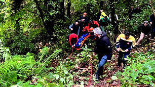 Sakarya'da kestane toplamak için girdiği ormanda ölü bulundu