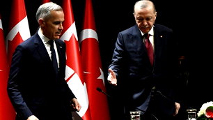 Carney: "Türkiye'den almamız gereken çok ders var"