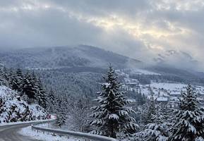 user header