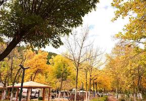 user header