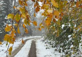 user header