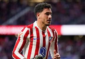 Fenerbahçe Skrinar'ın yanına büyük düşünüyor