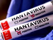 Hantavirüs açıklaması: "Türkiye'de yok"