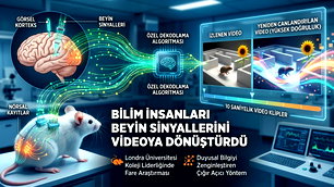 Bilim insanları beyin sinyallerini videoya dönüştürdü