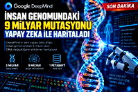 "3 Milyar DNA harfi mercek altında"